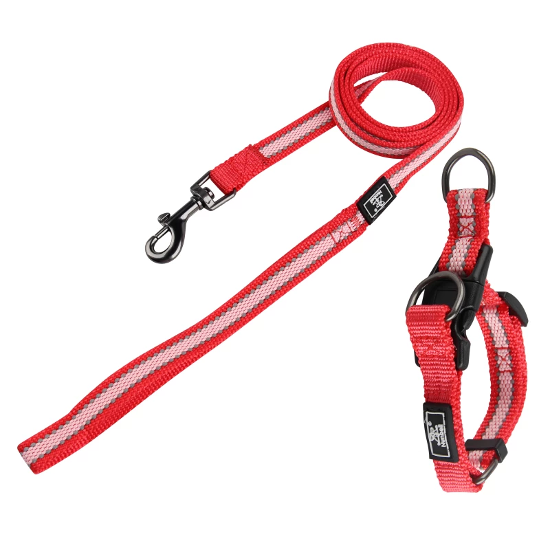 KIT LAISSE ET COLLIER POUR CHIEN 14-19cm