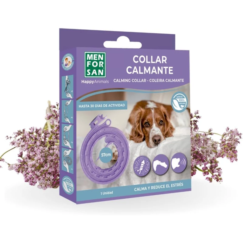 collier-calmant-pour-chiens