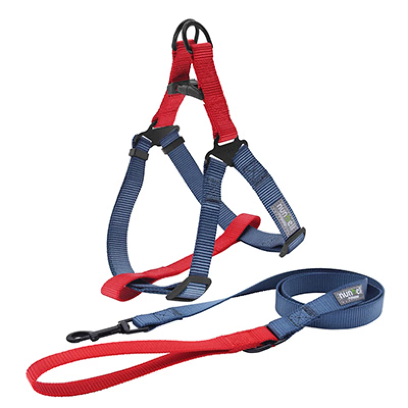 KIT LAISSE ET HARNAIS POUR CHIENS 45-80CM