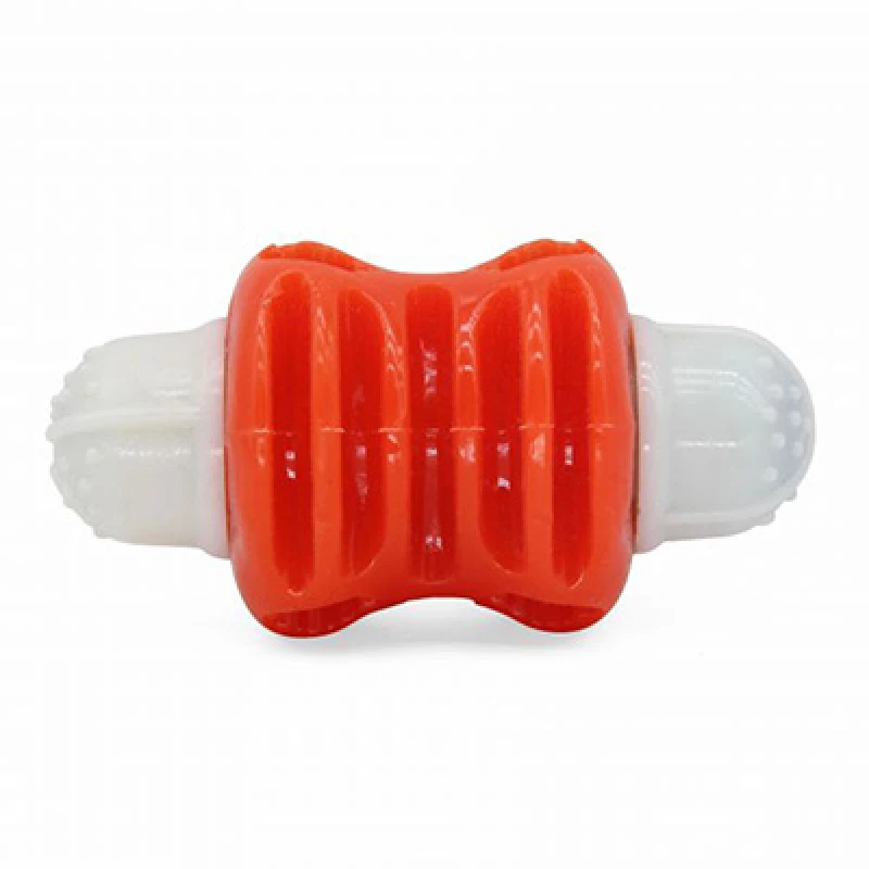 JOUET A MASTIQUER AVEC SONT RIGOLO