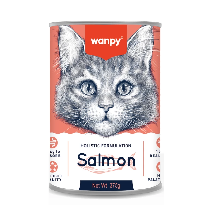 BOITE WANPY PUDDING SAUMON POUR CHAT 375GR