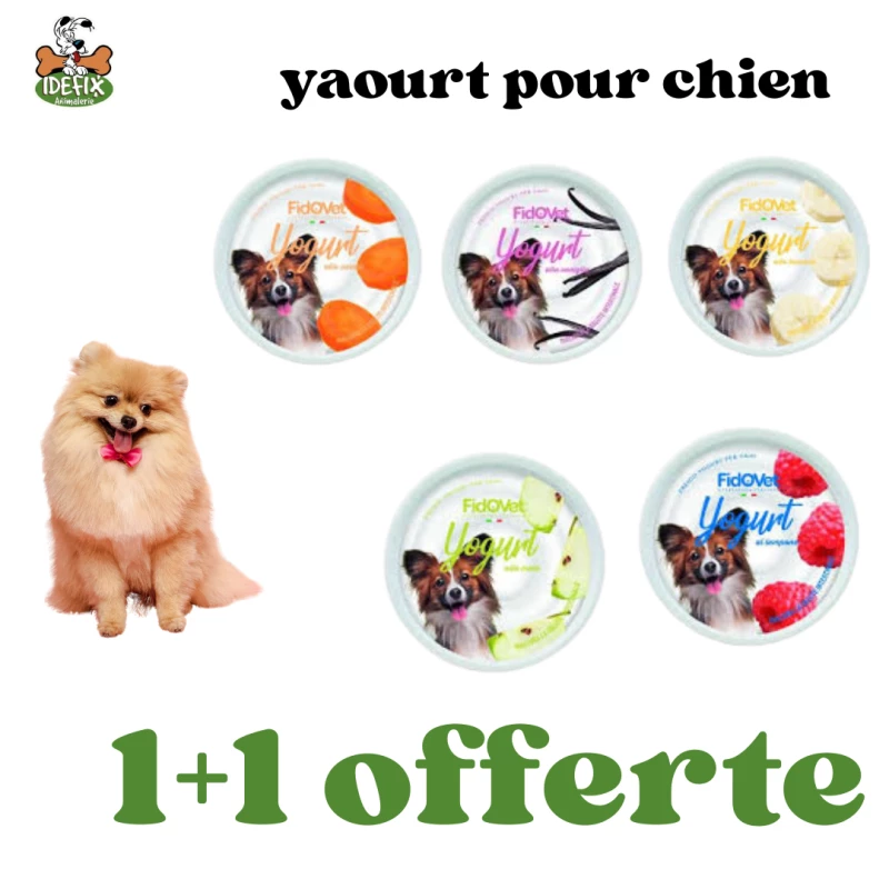 1765369021-lot-yaourt-pour-chien