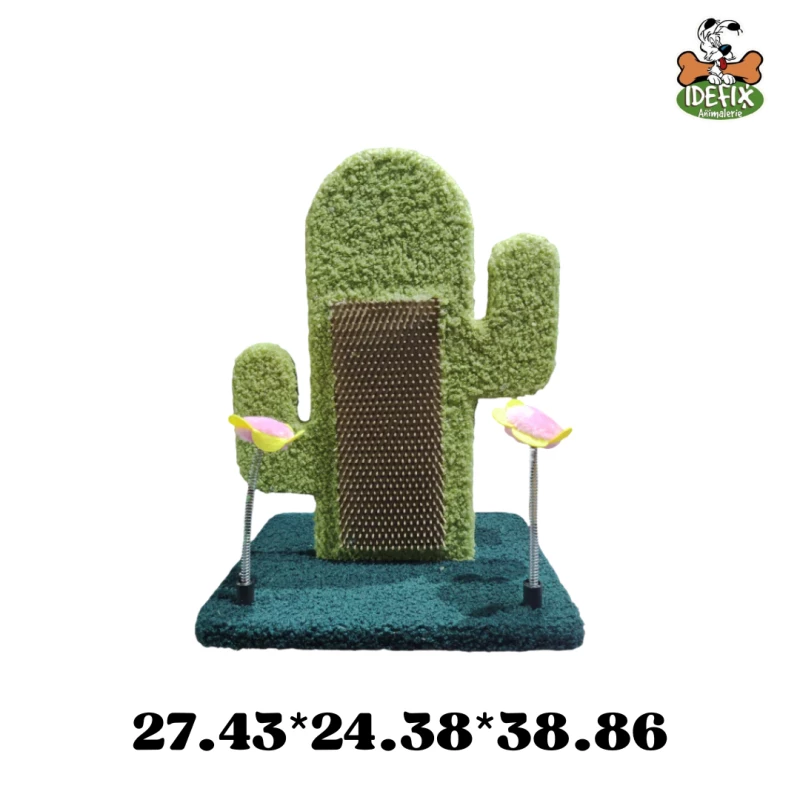 arbre-a-chat-felican-cactus