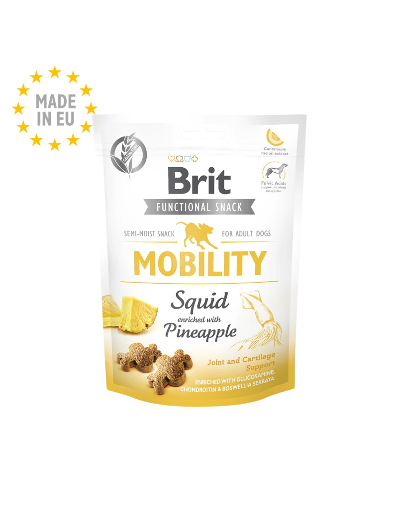FRIANDISE MOBILITY- PINEAPPLE 150G