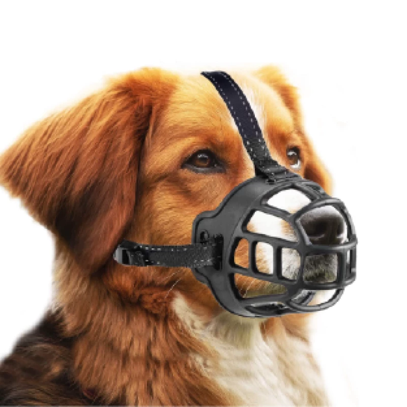 MUSELIERE POUR CHIEN 5 EN BOITE